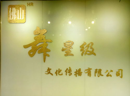 佛山舞星級(jí)文化傳播 融合傳統(tǒng)與現(xiàn)代的藝術(shù)使者